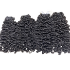 raw burmese curly 